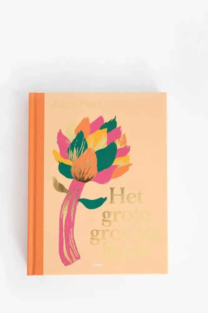 * Boeken-Boek Het Grote Groenteboek