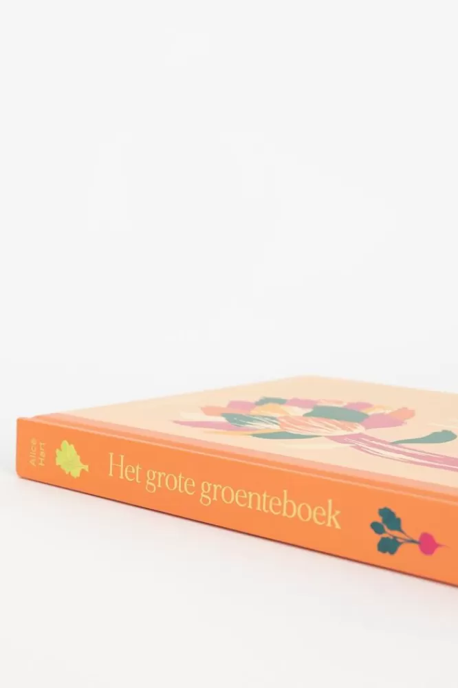 * Boeken-Boek Het Grote Groenteboek