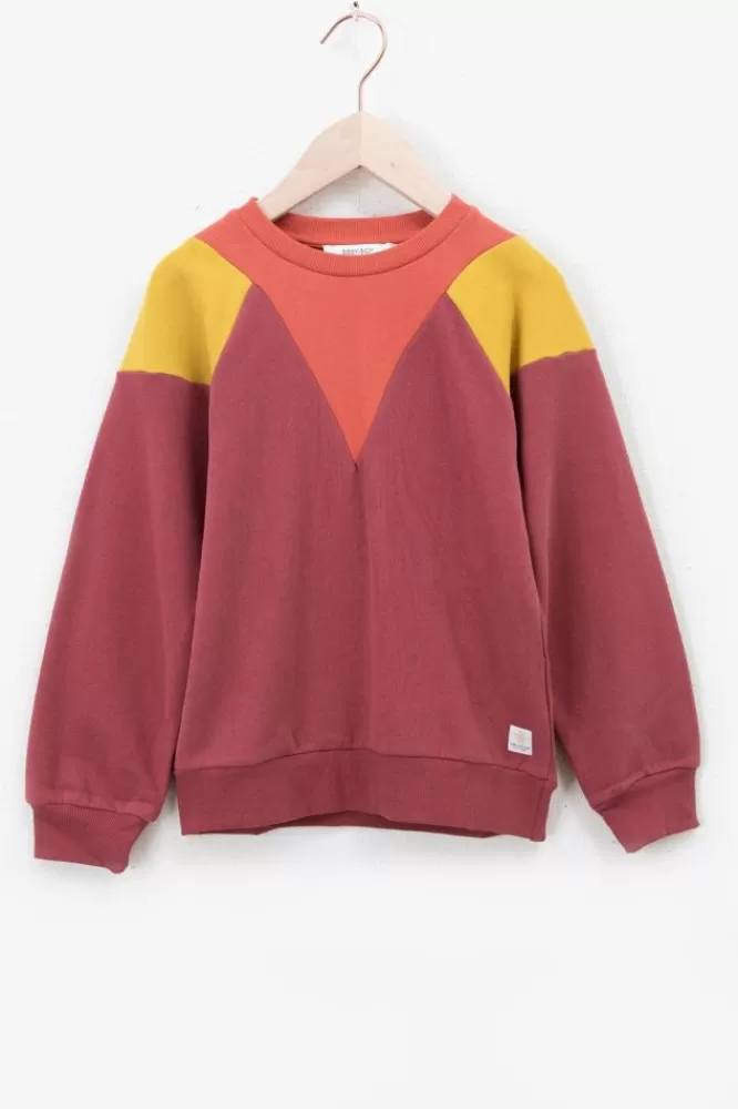 Kids * Truien En Vesten-Donkerroze Colourblock Sweater