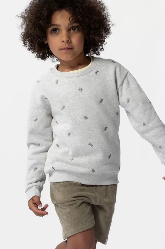 Kids * Truien En Vesten-Grijze Sweater Met Mieren