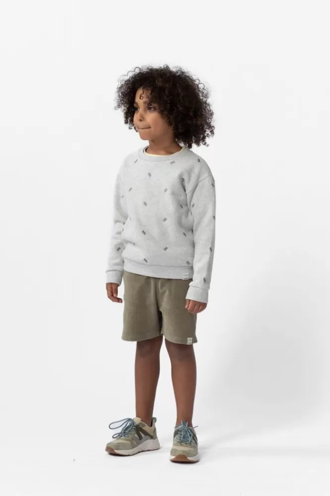 Kids * Truien En Vesten-Grijze Sweater Met Mieren