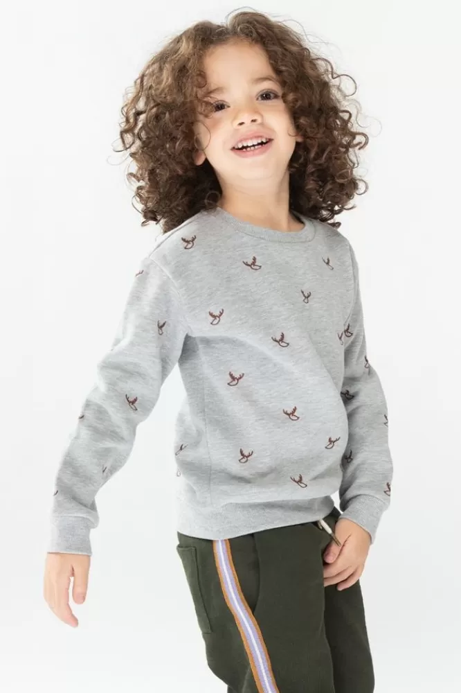 Kids * Truien En Vesten-Grijze Sweater Met Rendier Borduursel