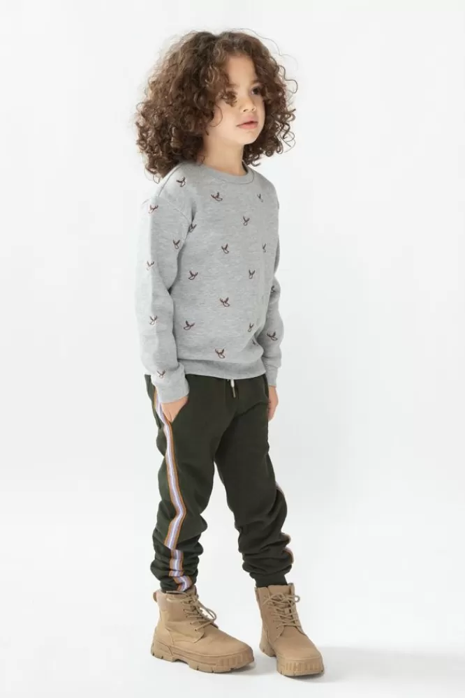 Kids * Truien En Vesten-Grijze Sweater Met Rendier Borduursel