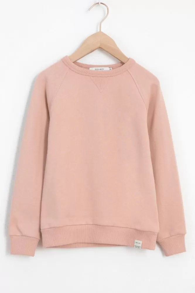 Kids * Truien En Vesten-Licht Crewneck Sweater