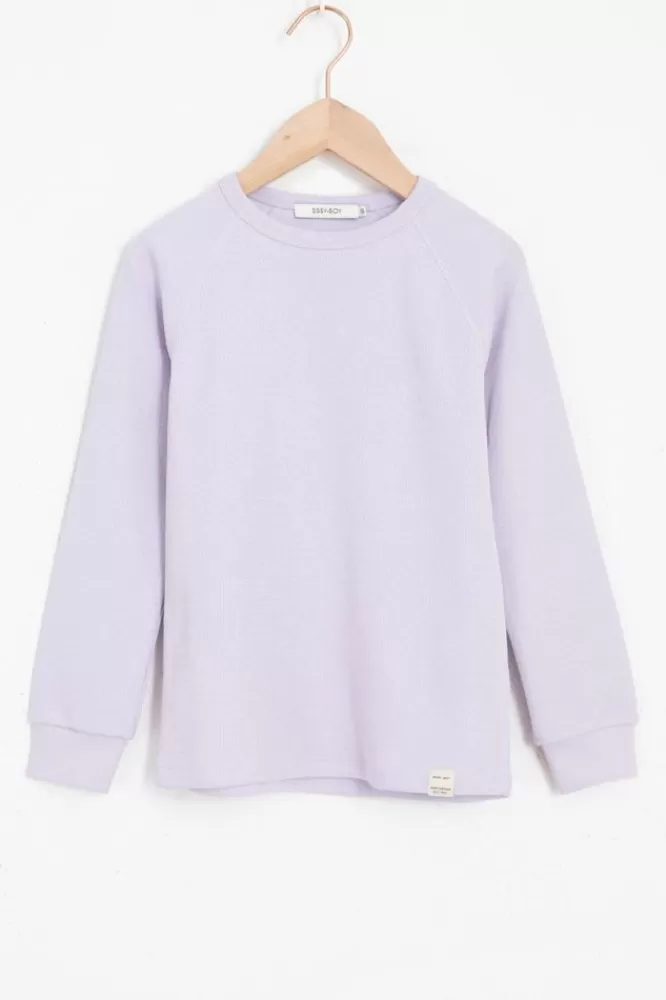 Kids * Truien En Vesten-Lichtpaarse Crewneck Sweater