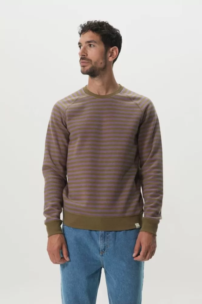 Heren * Truien En Vesten-Mosterd Met Paars Gestreepte Raglan Sweater