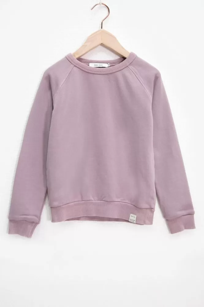 Kids * Truien En Vesten-Paarse Raglan Sweater