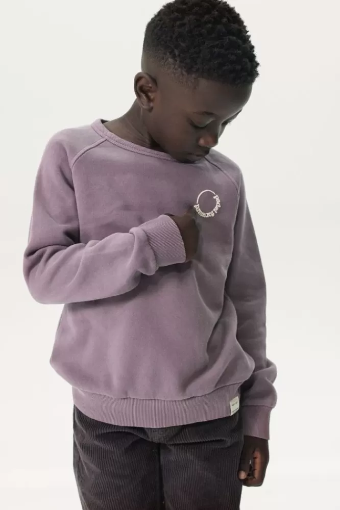 Kids * Truien En Vesten-Paarse Raglan Sweater Met Print